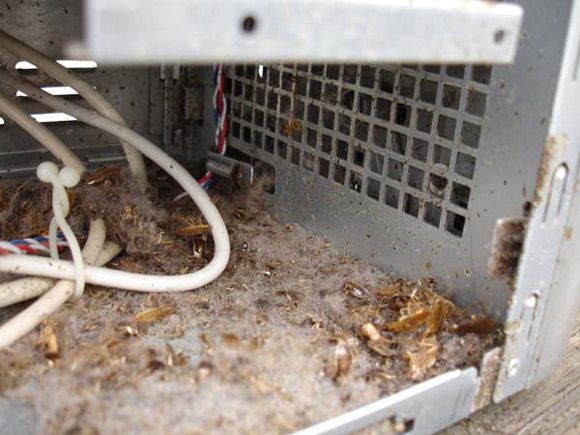 Ужасы внутри системных блоков