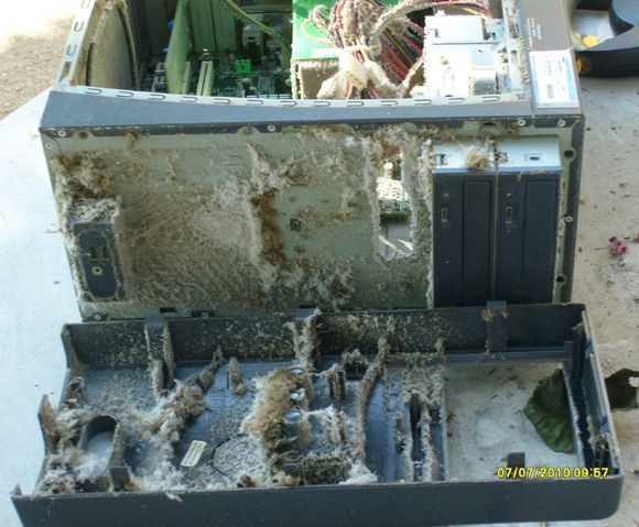 Ужасы внутри системных блоков