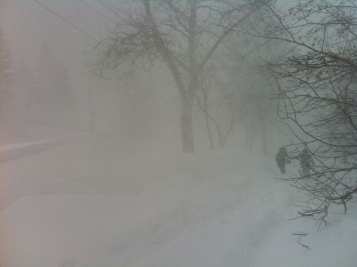 Последствия сильнейшего снегопада на Сахалине