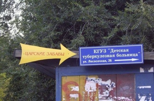 Прикольные картинки (53 фото)