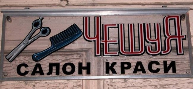 Прикольные картинки (53 фото)