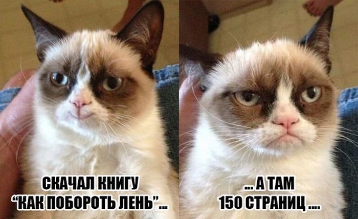 Порция картинок