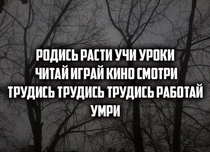 Порция картинок