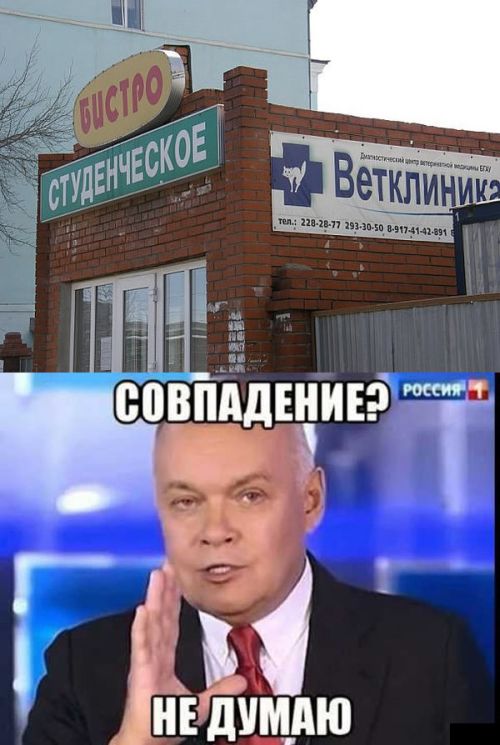 Порция картинок