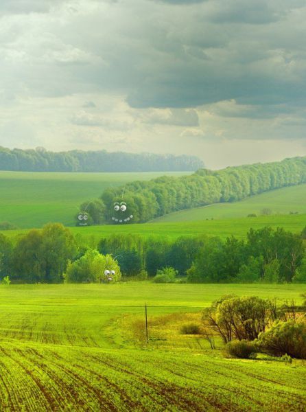 Порция картинок