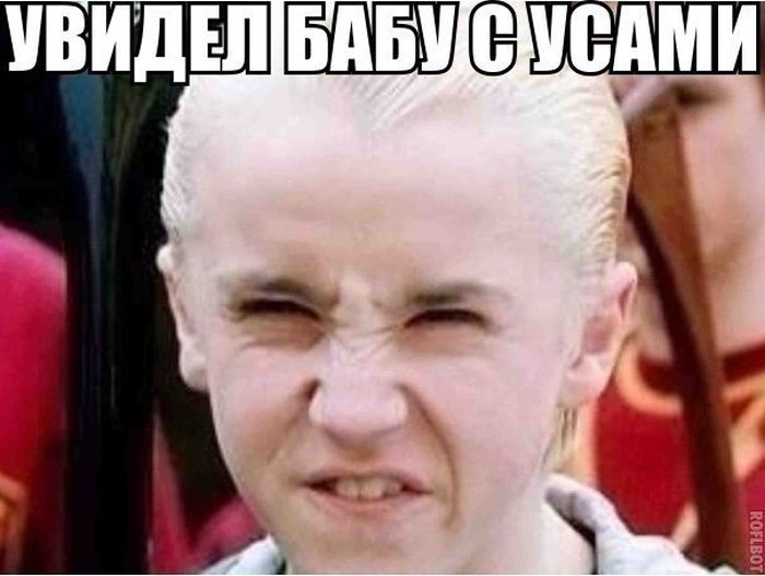 Порция картинок