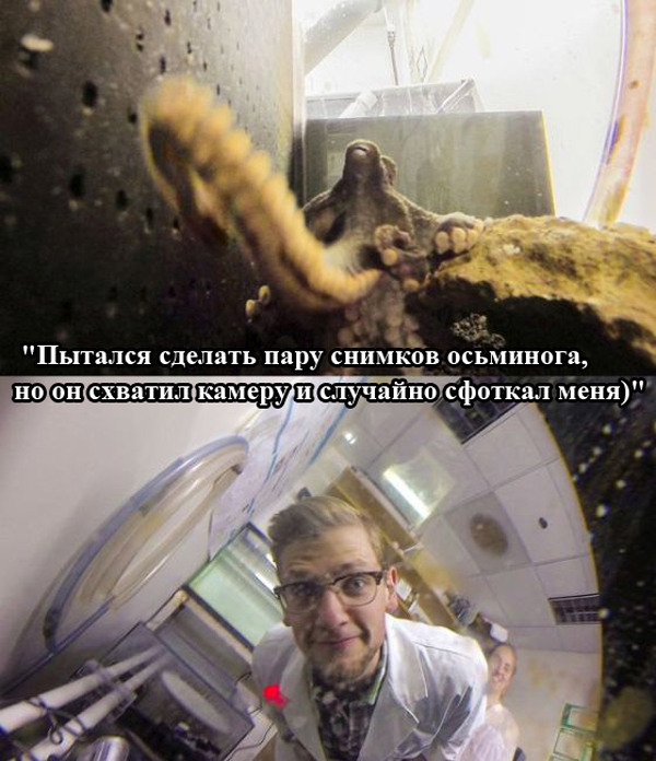 Порция картинок