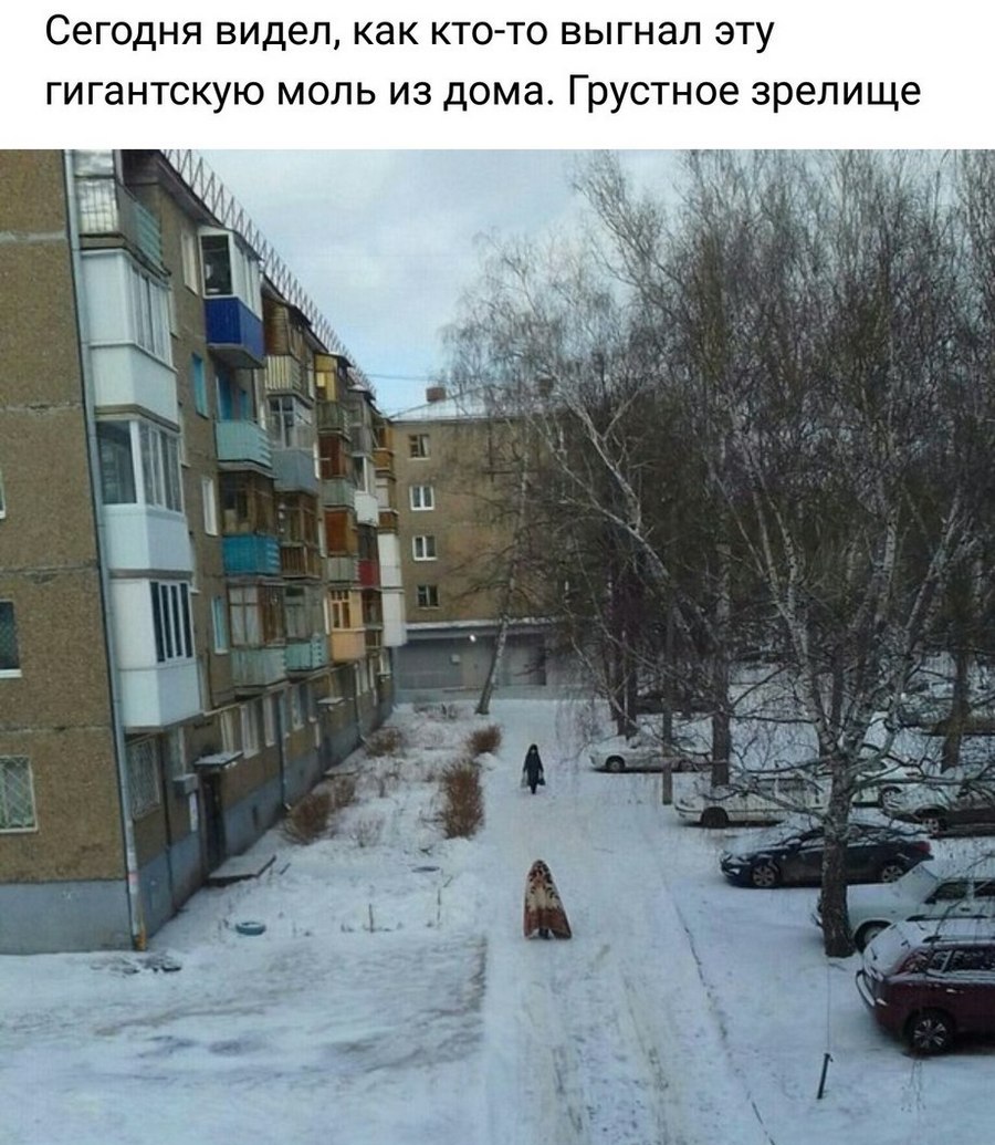 Удивительные снимки с российских просторов