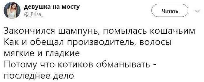 Приколы из социальных сетей