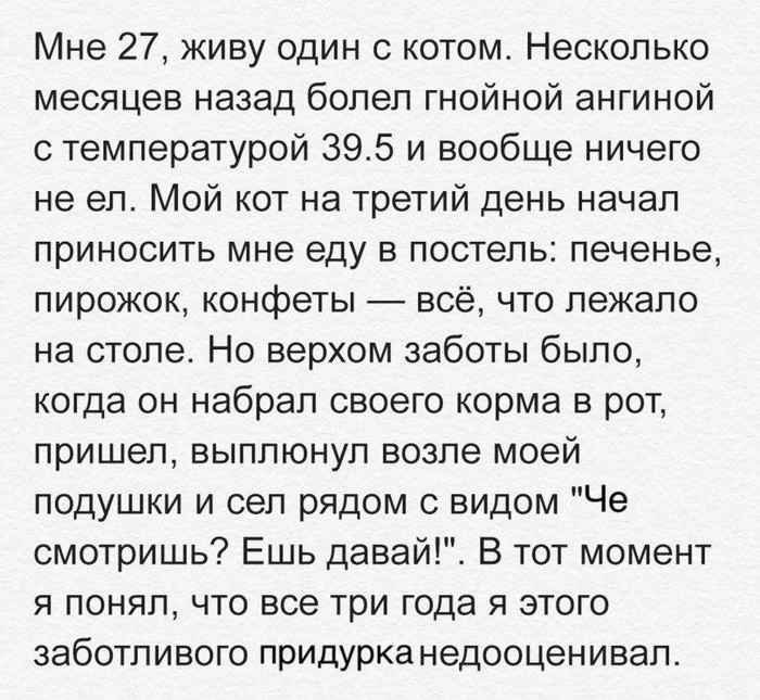 Приколы из социальных сетей