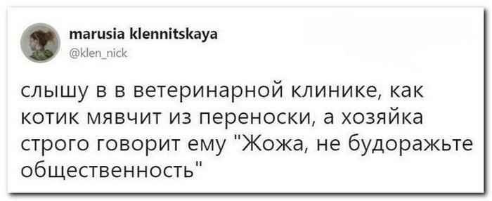 Приколы из социальных сетей