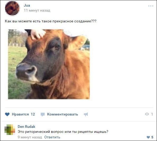 Приколы из социальных сетей