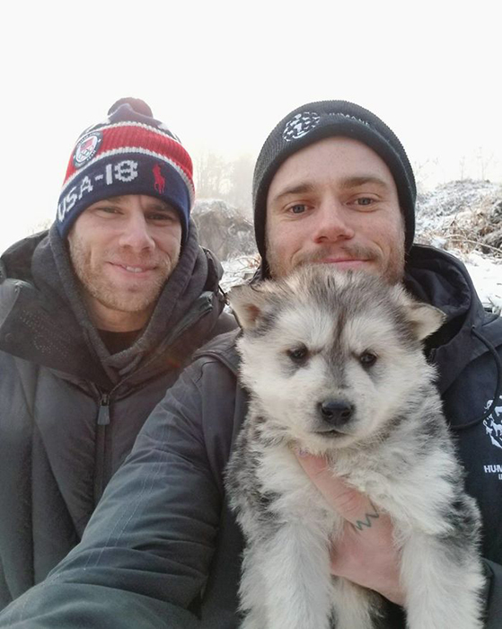 Олимпийский спортсмен спасает собак в Южной Корее Олимпийский спортсмен спасает собак в Южной Корее