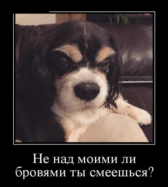 Демотиваторы