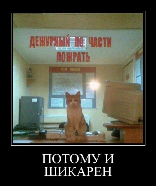 Демотиваторы