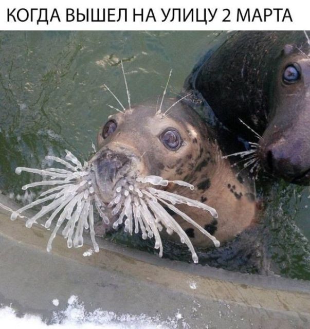 Дело было так…