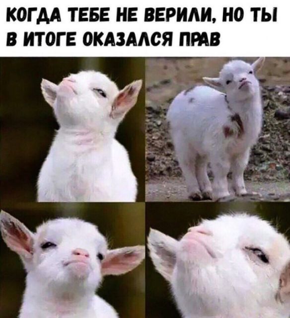 Дело было так…
