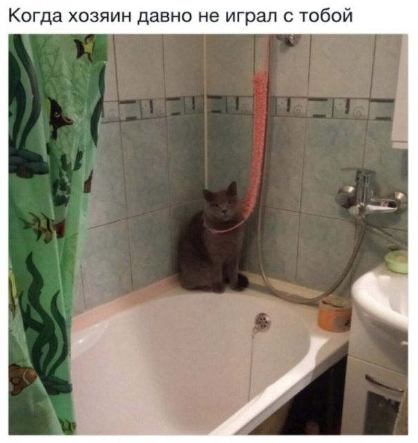 Дело было так…