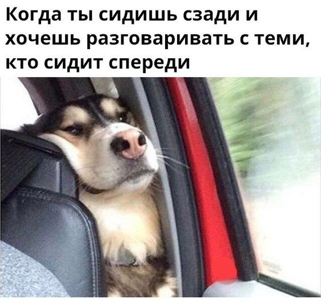 Дело было так…