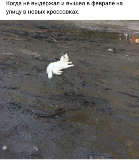 Дело было так…