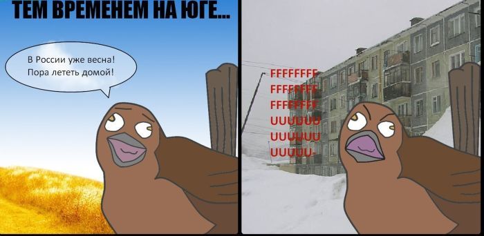Веселые комиксы