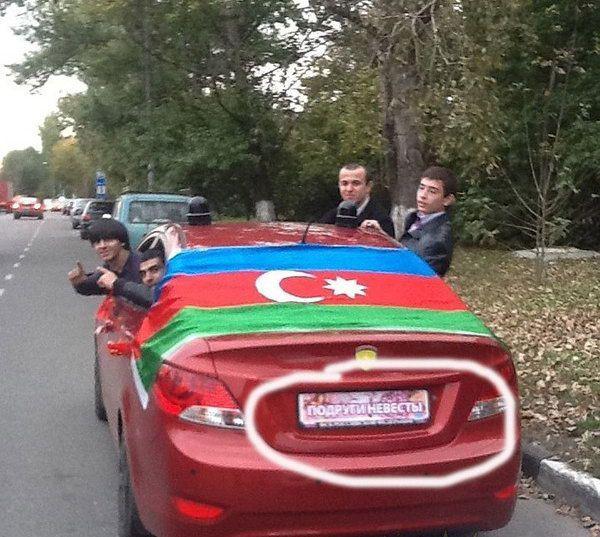 Прикольные картинки