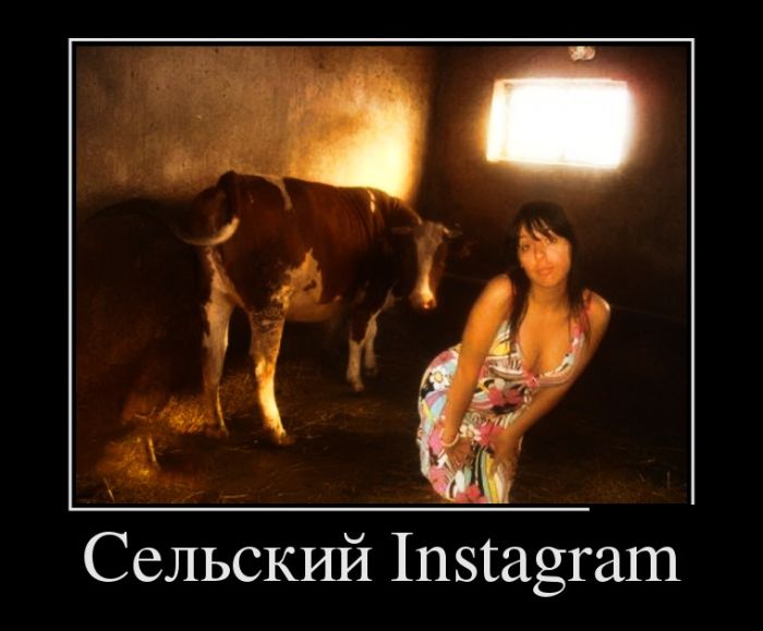 Демотиваторы