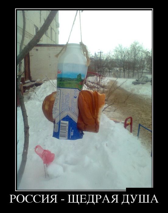 Демотиваторы