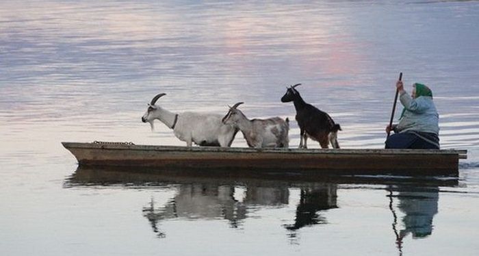 Фото, которые возможно было сделать только в России
