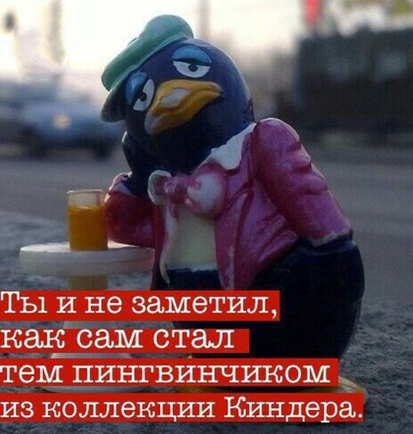 Прикольные картинки