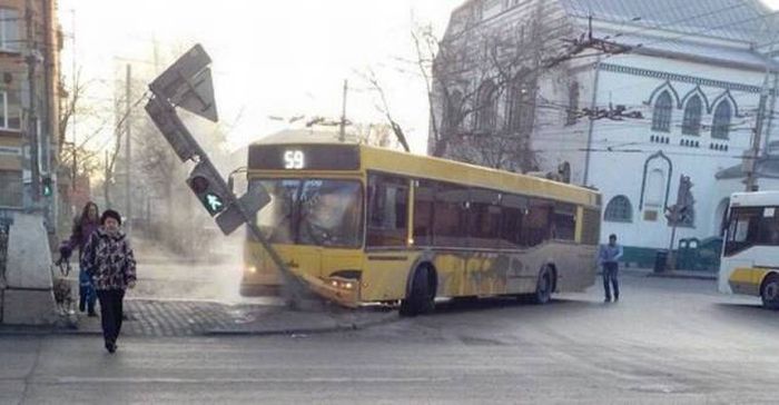 Прикольные картинки