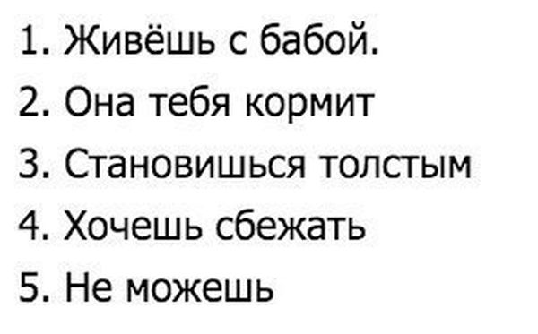 Прикольные картинки