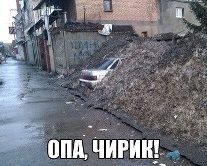 Прикольные картинки