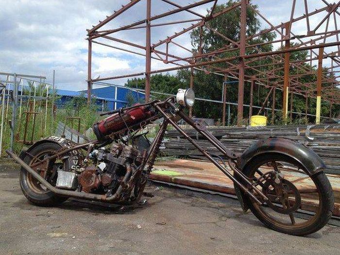 Прикольные картинки