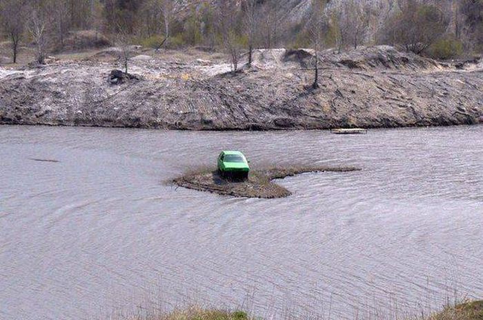 Прикольные картинки