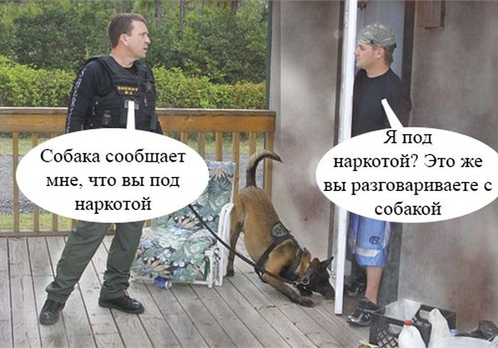 Прикольные картинки