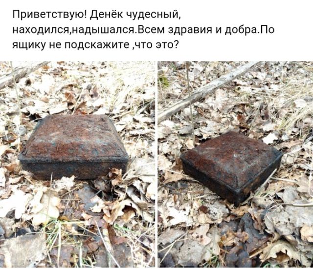 Небезопасная лесная находка