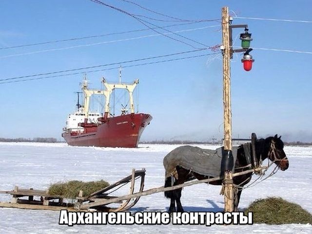 Прикольные картинки