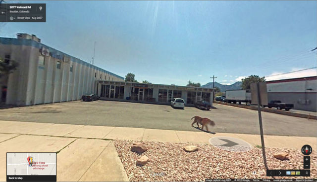 Подборка фотографий от Google Street