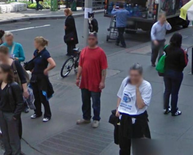 Подборка фотографий от Google Street