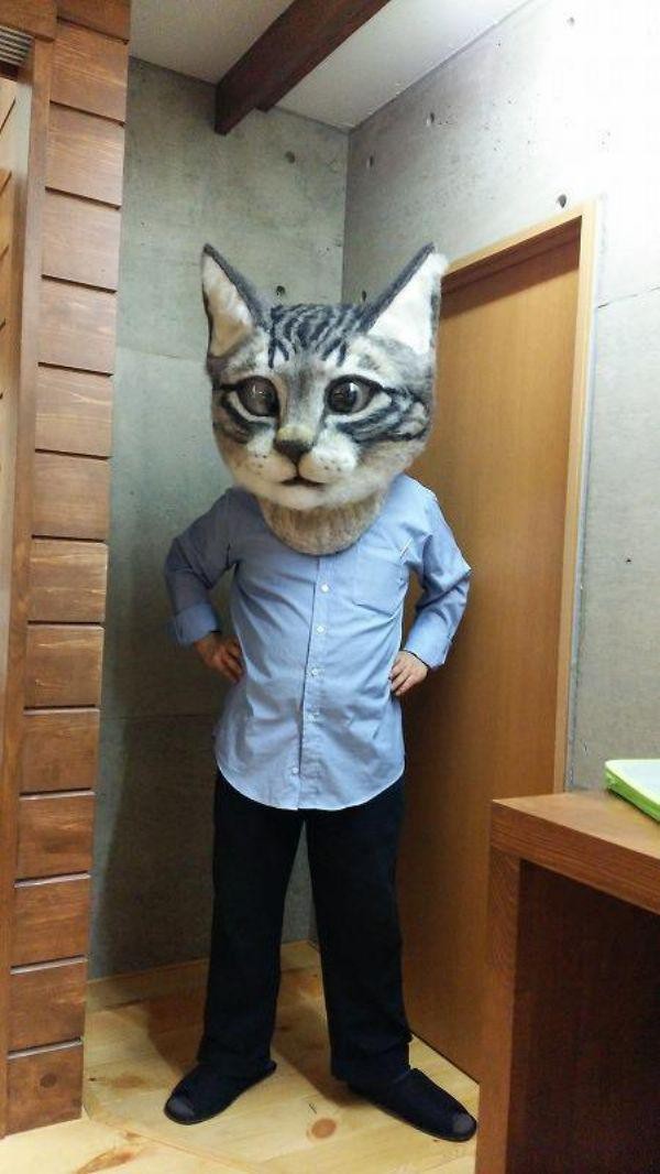 Забавные и симпатичные котики