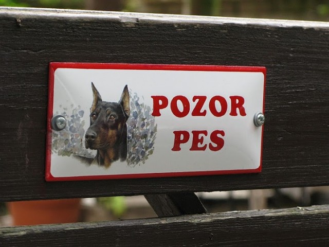 Посетите город Писек, купите вонявки и попробуйте черствые потравины Посетите город Писек, купите вонявки и попробуйте черствые потравины