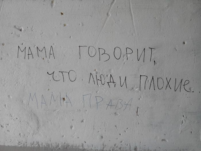 Прикольные картинки