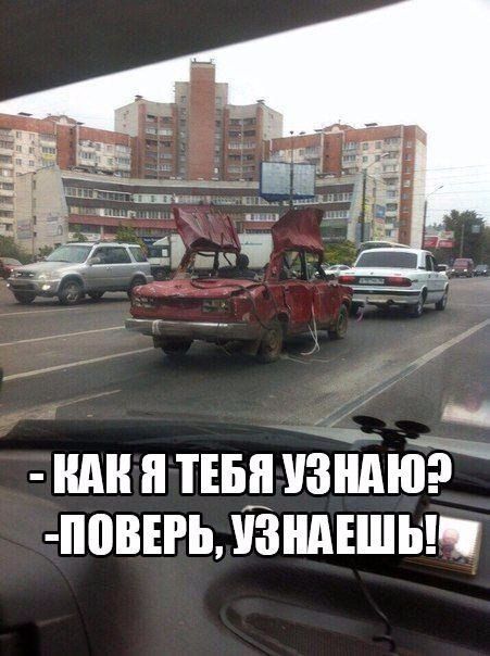 Прикольные картинки