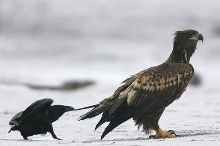 В нужный момент