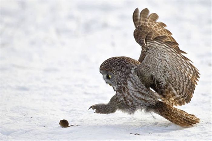 В нужный момент