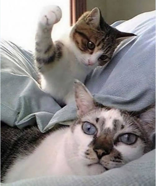 В нужный момент