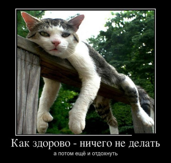 Демотиваторы