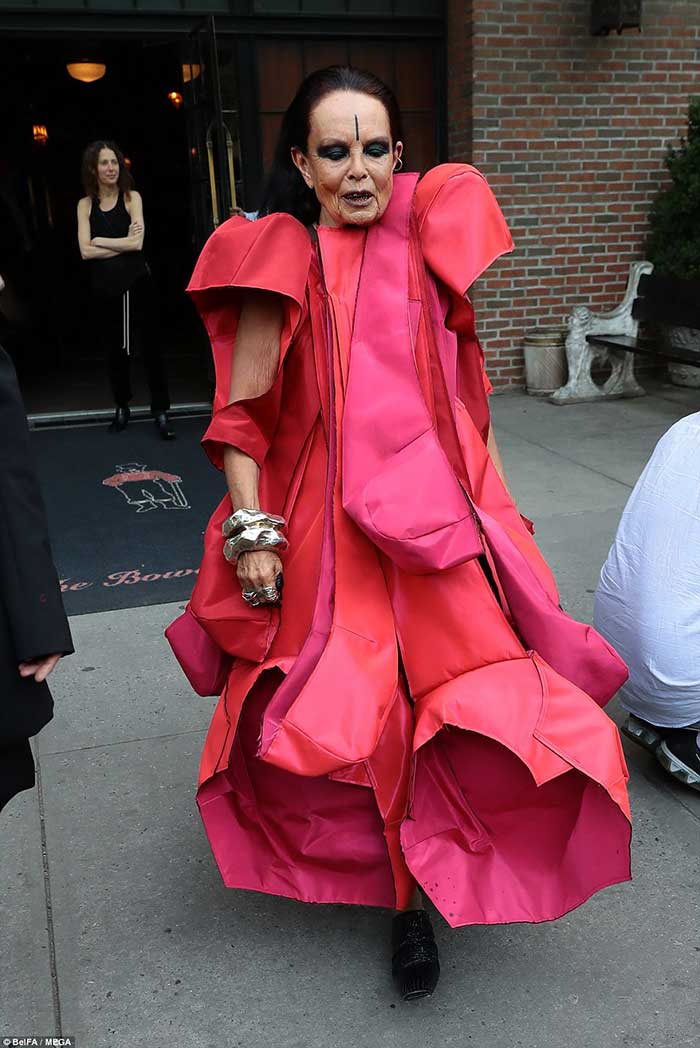 Самые скандальные наряды Met Gala 2017