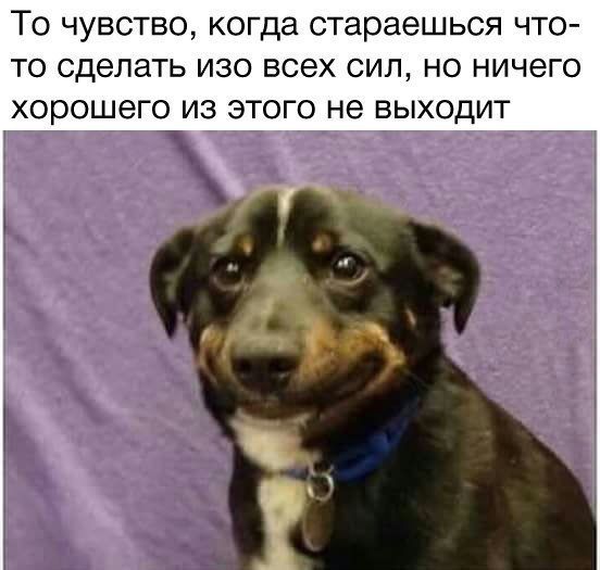 Прикольные картикни
